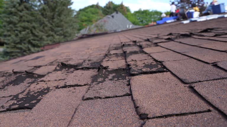 Cold Roofs in Belle Meade, TN