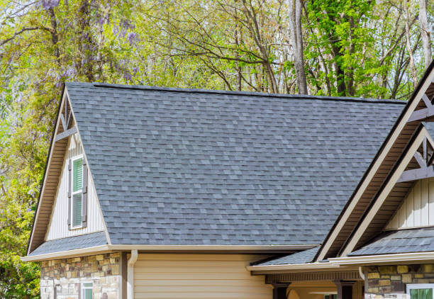 Best Roof Ventilation Installation  in Belle Meade, TN