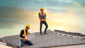 Best Roof Moss and Algae Removal  in Belle Meade, TN